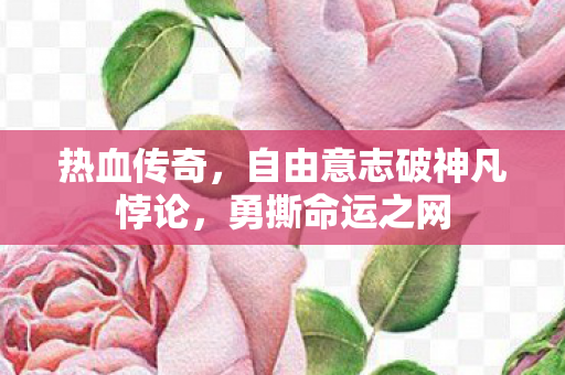 热血传奇,自由意志破神凡悖论,勇撕命运之网 热血传奇,自由意志破神凡悖论,勇撕命运之网
