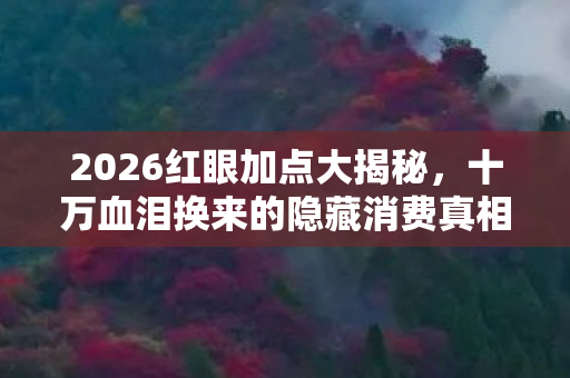 2026红眼加点大揭秘，十万血泪换来的隐藏消费真相