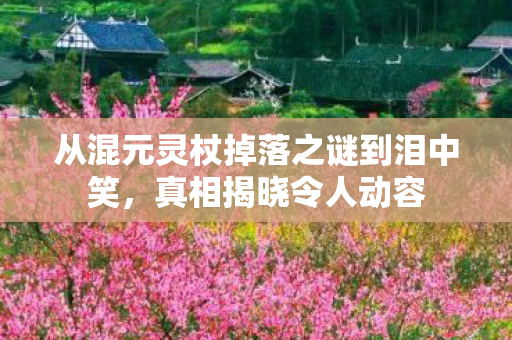 从混元灵杖掉落之谜到泪中笑，真相揭晓令人动容