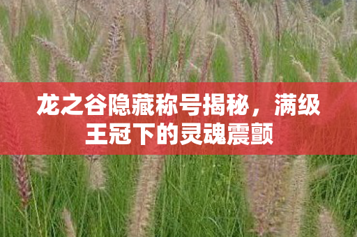 龙之谷隐藏称号揭秘，满级王冠下的灵魂震颤