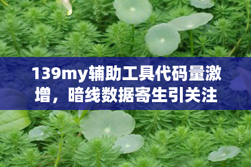 139my辅助工具代码量激增，暗线数据寄生引关注