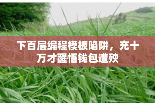 下百层编程模板陷阱,充十万才醒悟钱包遭殃 下百层编程模板陷阱,充十万才醒悟钱包遭殃