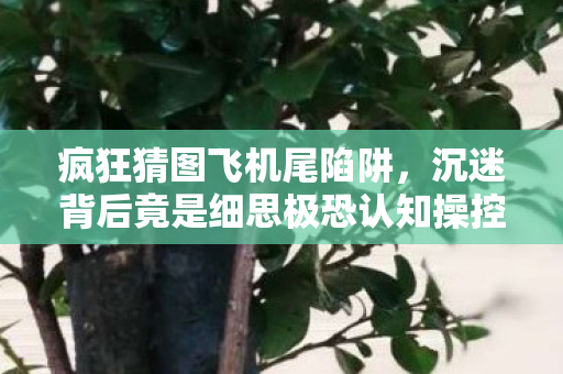 疯狂猜图飞机尾陷阱,沉迷背后竟是细思极恐认知操控 疯狂猜图飞机尾陷阱,沉迷背后竟是细思极恐认知操控