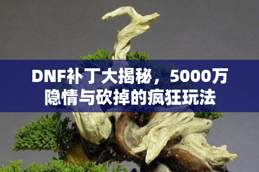 DNF补丁大揭秘，5000万隐情与砍掉的疯狂玩法