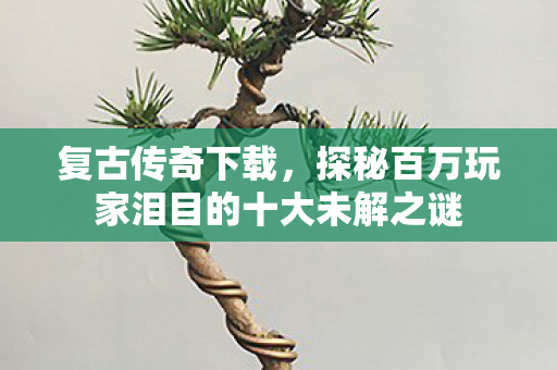 复古传奇下载，探秘百万玩家泪目的十大未解之谜