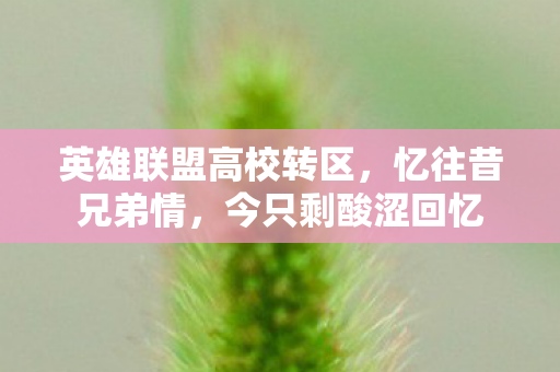 英雄联盟高校转区,忆往昔兄弟情,今只剩酸涩回忆 英雄联盟高校转区,忆往昔兄弟情,今只剩酸涩回忆