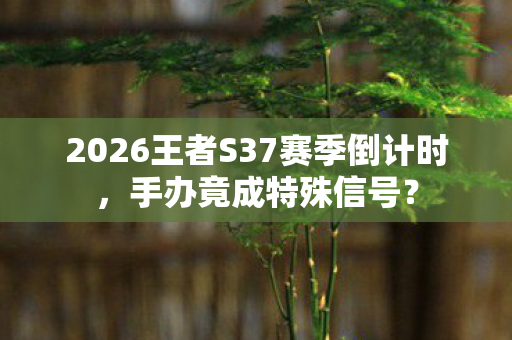 2026王者S37赛季倒计时,手办竟成特殊信号? 2026王者S37赛季倒计时,手办竟成特殊信号?