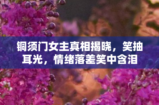 铜须门女主真相揭晓，笑抽耳光，情绪落差笑中含泪
