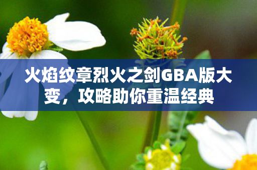 火焰纹章烈火之剑GBA版大变,攻略助你重温经典 火焰纹章烈火之剑GBA版大变,攻略助你重温经典