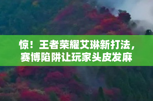 惊!王者荣耀艾琳新打法,赛博陷阱让玩家头皮发麻 惊!王者荣耀艾琳新打法,赛博陷阱让玩家头皮发麻