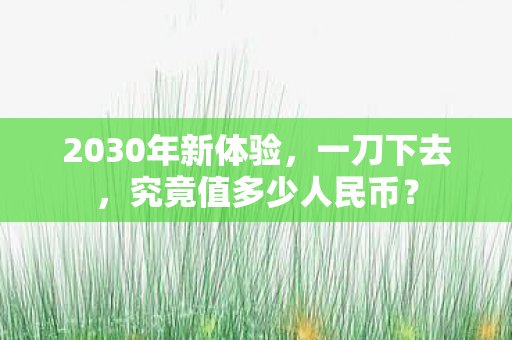 2030年新体验，一刀下去，究竟值多少人民币？