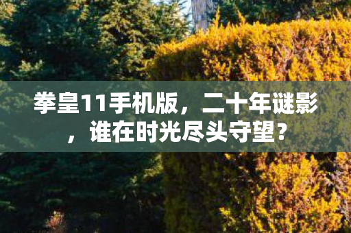 拳皇11手机版，二十年谜影，谁在时光尽头守望？