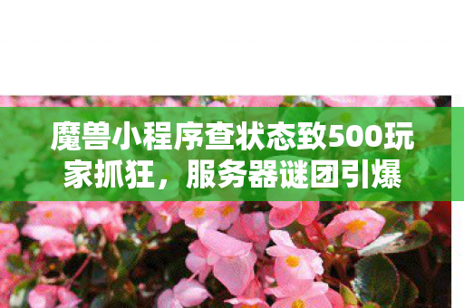 魔兽小程序查状态致500玩家抓狂,服务器谜团引爆 魔兽小程序查状态致500玩家抓狂,服务器谜团引爆
