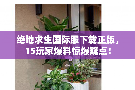 绝地求生国际服下载正版，15玩家爆料惊爆疑点！