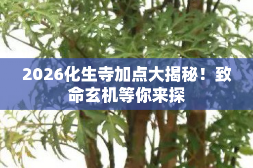 2026化生寺加点大揭秘!致命玄机等你来探 2026化生寺加点大揭秘!致命玄机等你来探
