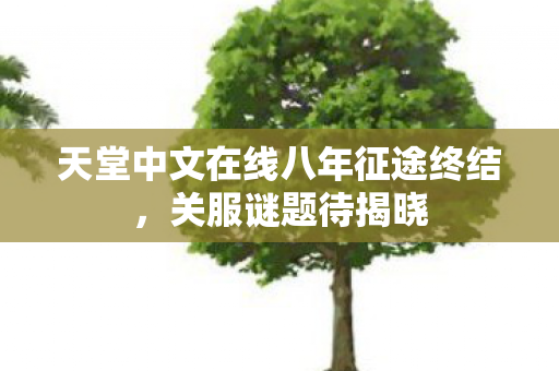 天堂中文在线八年征途终结，关服谜题待揭晓