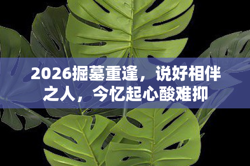 2026掘墓重逢,说好相伴之人,今忆起心酸难抑 2026掘墓重逢,说好相伴之人,今忆起心酸难抑