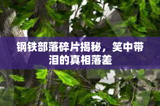 钢铁部落碎片揭秘,笑中带泪的真相落差 钢铁部落碎片揭秘,笑中带泪的真相落差