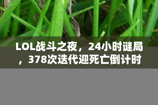 LOL战斗之夜，24小时谜局，378次迭代迎死亡倒计时