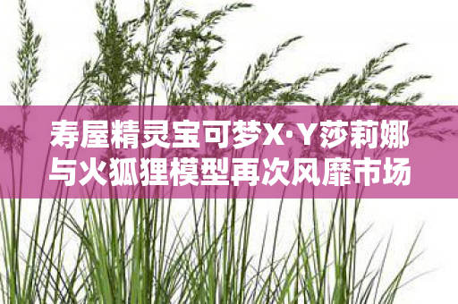 寿屋精灵宝可梦X·Y莎莉娜与火狐狸模型再次风靡市场