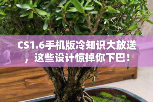 CS1.6手机版冷知识大放送,这些设计惊掉你下巴! CS1.6手机版冷知识大放送,这些设计惊掉你下巴!