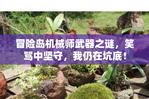 冒险岛机械师武器之谜,笑骂中坚守,我仍在坑底! 冒险岛机械师武器之谜,笑骂中坚守,我仍在坑底!