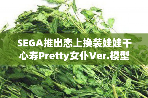 SEGA推出恋上换装娃娃干心寿Pretty女仆Ver.模型—时尚魅力与梦幻世界的完美结合