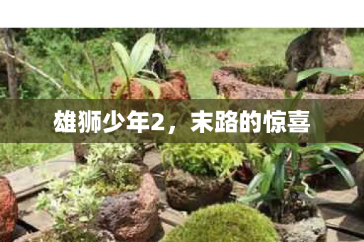 雄狮少年2，末路的惊喜