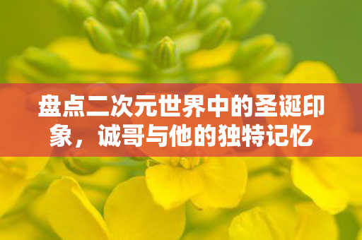 盘点二次元世界中的圣诞印象，诚哥与他的独特记忆