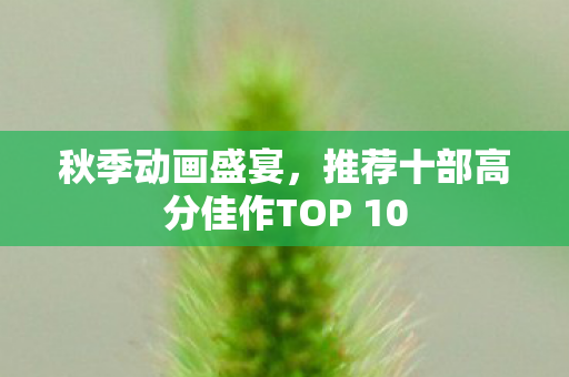 秋季动画盛宴，推荐十部高分佳作TOP 10