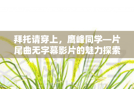 拜托请穿上，鹰峰同学—片尾曲无字幕影片的魅力探索