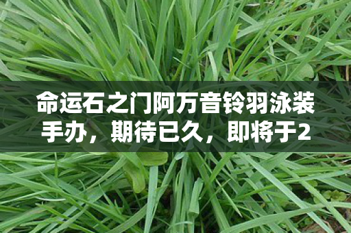 命运石之门阿万音铃羽泳装手办，期待已久，即将于26年正式发售