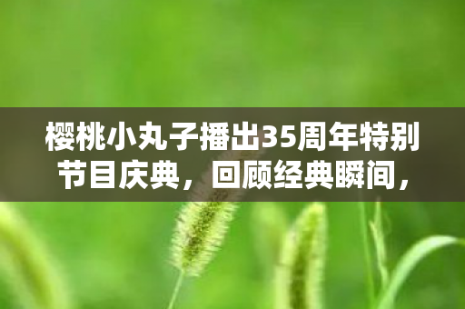 樱桃小丸子播出35周年特别节目庆典，回顾经典瞬间，期待全新呈现！先行截图公开