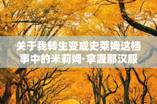 关于我转生变成史莱姆这档事中的米莉姆·拿渥那汉服模型探究