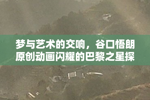 梦与艺术的交响，谷口悟朗原创动画闪耀的巴黎之星探微