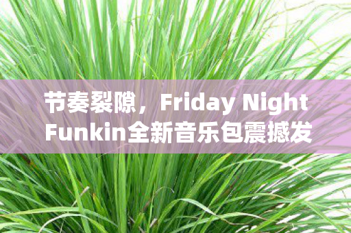 节奏裂隙，Friday Night Funkin全新音乐包震撼发布