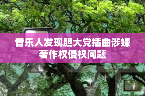 音乐人发现胆大党插曲涉嫌著作权侵权问题