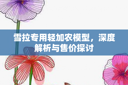 雪拉专用轻加农模型，深度解析与售价探讨