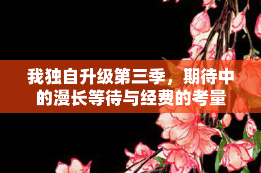 我独自升级第三季，期待中的漫长等待与经费的考量