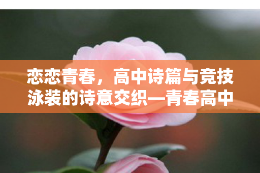 恋恋青春，高中诗篇与竞技泳装的诗意交织—青春高中系列女仆Ver.模型重磅推出