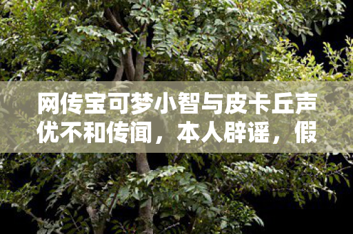 网传宝可梦小智与皮卡丘声优不和传闻，本人辟谣，假的！