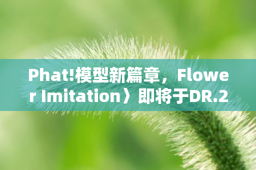 Phat!模型新篇章，Flower Imitation〉即将于DR.2026年发售