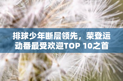排球少年断层领先，荣登运动番最受欢迎TOP 10之首！