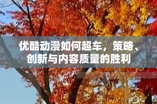 优酷动漫如何超车，策略、创新与内容质量的胜利
