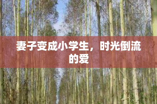 妻子变成小学生，时光倒流的爱