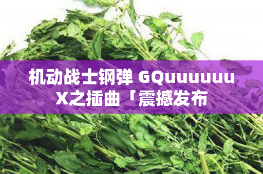 机动战士钢弹 GQuuuuuuX之插曲「震撼发布
