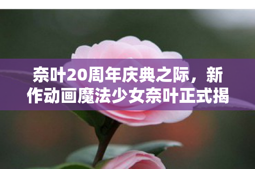 奈叶20周年庆典之际，新作动画魔法少女奈叶正式揭晓