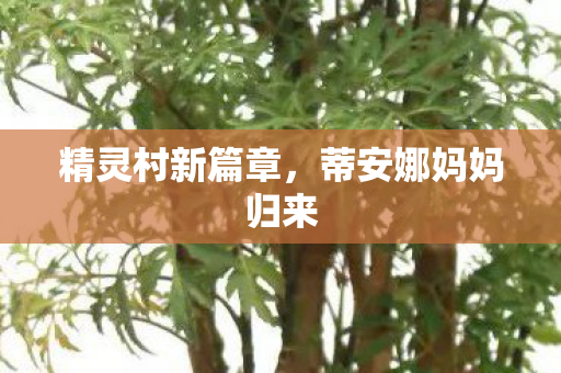 精灵村新篇章，蒂安娜妈妈归来