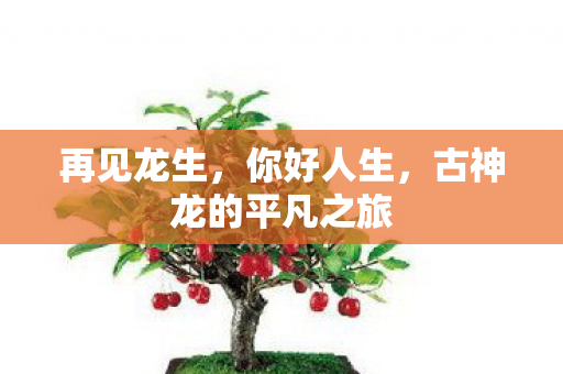 再见龙生，你好人生，古神龙的平凡之旅
