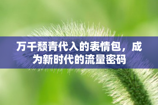 万千颓青代入的表情包，成为新时代的流量密码